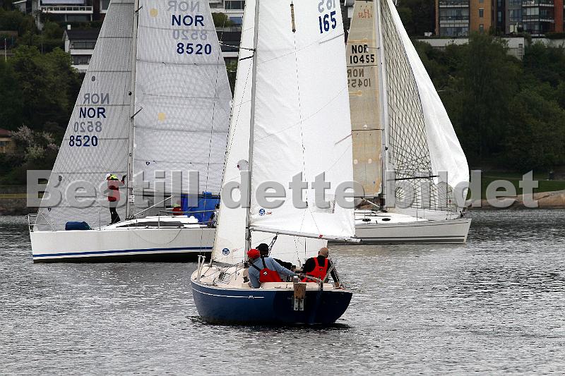 Bundefjorden2012 038.jpg